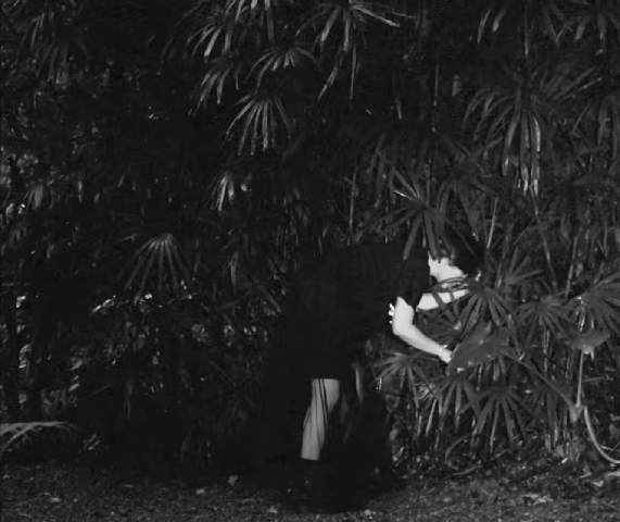 谭维维×魏如萱 隔空唱诵《鱼玄机》的千古情愁