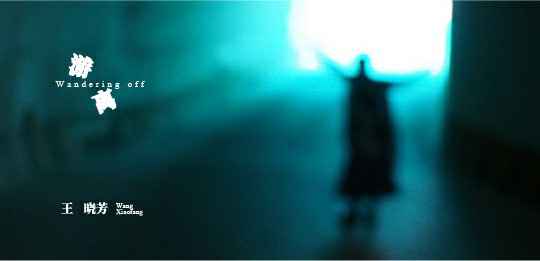 王晓芳:扬琴双面女王的游离之歌