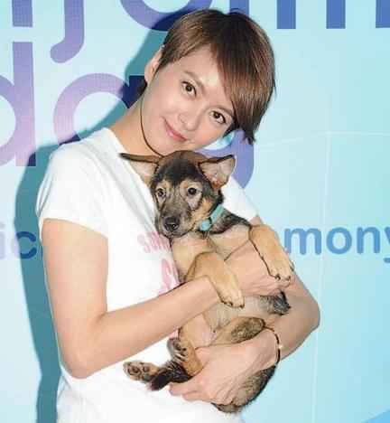 梁咏琪学习和宠物相处 透露女儿对唱歌跳舞感兴趣