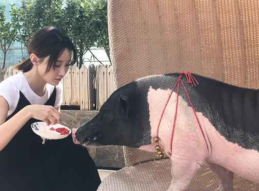 林鹏《人间至味是清欢》被“绿” 戏外开启“云养猪”模式