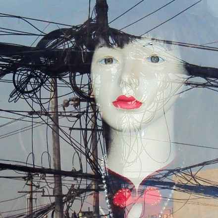 陈萝莉全新专辑《市井垃圾》浪漫上线 沉浸式夏日限定迷幻大碟