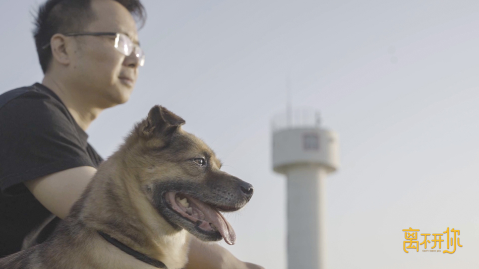 爱奇艺纪录片《离不开你》直击导盲犬的4次分离 从分离中感受爱与责任