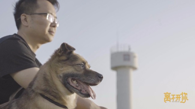 《离不开你》持续催泪疫情下留守宠物现状引发关注