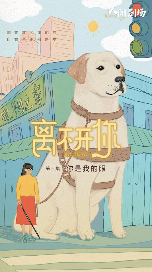 《离不开你》持续催泪疫情下留守宠物现状引发关注