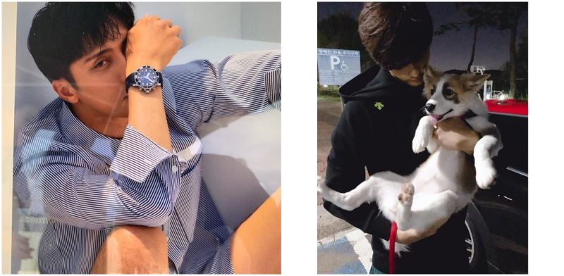 爱狗人成勋 公开悉心照顾下重获新生的YangHee近况